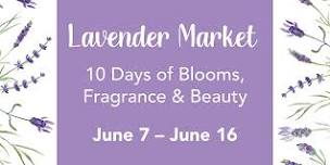 Lavender Market • 10 Days of Blooms, Fragrance & Beauty