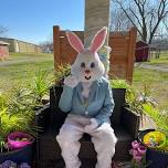 Easter Paws - Pictures with the Easter Bunny