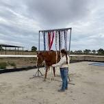 Obstacle Training Day