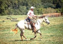 Foundational Horsemanship