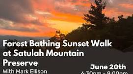 Forest Bathing Sunset Walk with Mark Ellison