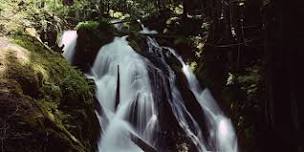 Hike with a Ranger: Hydrology of Little Zigzag Falls