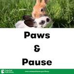 Paws and Pause for Adults: Relax with Animals - 4:30 p.m. session