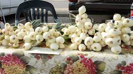 Little Falls Farmers Market