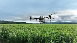 Explore the Future of Agriculture with Drones