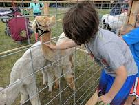 Mother's Day with the Alpacas