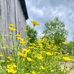 Nature Walk & Talk at Summerseat Farm