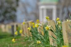 48StateTour! Lynchburg, VA - Old City Cemetery Museums and Arboretum