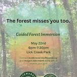 Guided Forest Immersion