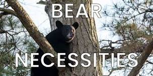 Bear Necessities