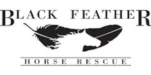 Black Feather Horse Rescue 20th Anniversary Gourmet Hike Fundraiser