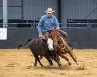 Cattle clinic with Whiteley Performance Horses