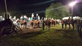 Corder Picnic Rodeo