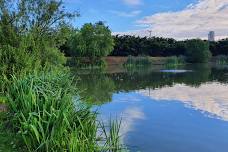 Away Match (Lingmere Fishery)