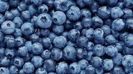 Family Blueberry Picking