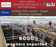 2024 Virbac Weaner Challenge and Feature Sale