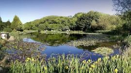 Pembrokeshire Coastal Campervan Retreat