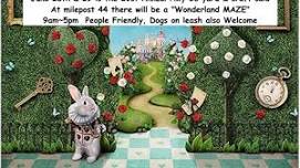 Wonderland Maze