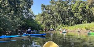 Guided Paddle along the Cosumnes River