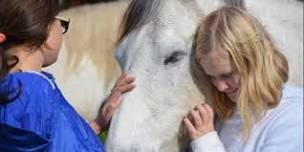 Parent-Child Bonding Through Equine Connection