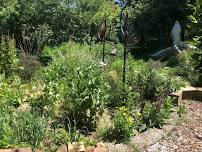 Friday Gardening – Katoomba Community Garden