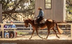 Western dressage clinic