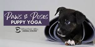 Puppy Yoga!