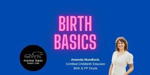 BIRTH BASICS