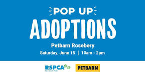 Pop-Up Puppy Adoptions – Petbarn Rosebery