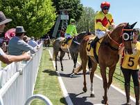 Gundagai's New Year's Day Races