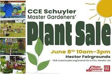 2024 Master Gardener Plant Sale