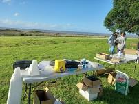 Kawakawa Bay Bait and Trap day