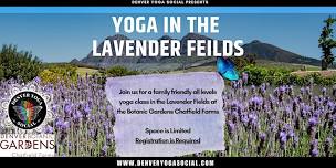 Yoga in the Lavender Fields at the Botanic Gardens Chatfield Farms