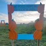 Pumpkin Patch at Davochfin Farm, Dornoch