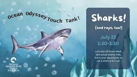 Ocean Odyssey Touch Tank