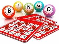 Reedsburg VFW Bingo! Doors Open at 4:30 P.M