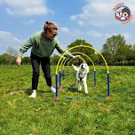 Canine Hoopers BEGINNERS Course - Downs Meadow Stables (Dorking) — Happy Buddies