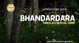 Fireflies Special Bhandardara Camping