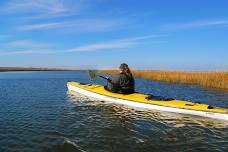 Kayak Eco-Tour