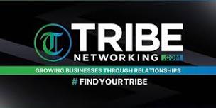 Tribe Networking Littleton Networking Meeting