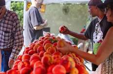 Farmers Market (Saturdays)