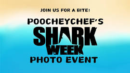 Shark Week Photo Event