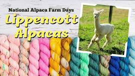 Lippencott Alpaca Farm Days