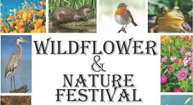 Wildflower and Nature Festival