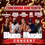 Blues & Music Concert