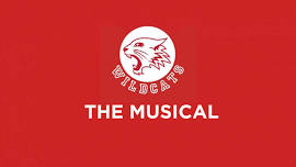 Wildcats - The Musical 7pm show