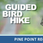 Bird Hike at Big Marine Park Reserve