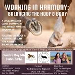 Working in Harmony: Balancing the Hoof and Body