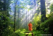 The Prayers and Meditation of Yogananda