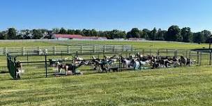 Evening Goat Yoga at Barkheimer Barns